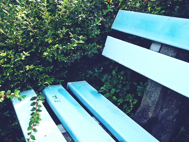 波兰主帅：希望面对荷兰能有更多控球；已证明能与他们抗衡