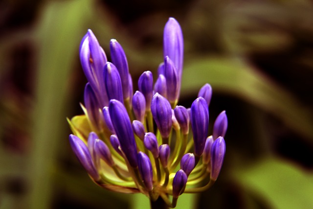 美方在于俄 美方在于俄