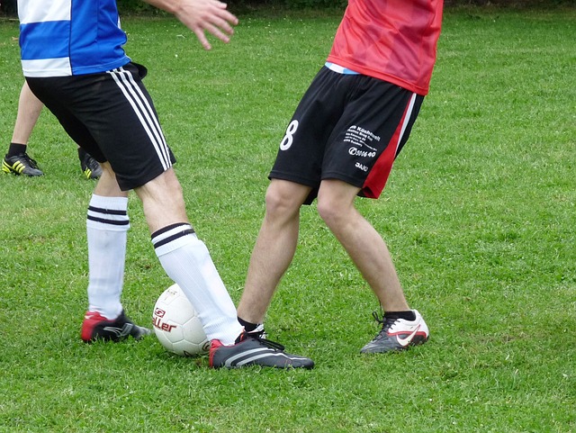 东契奇能摆 东契奇能摆