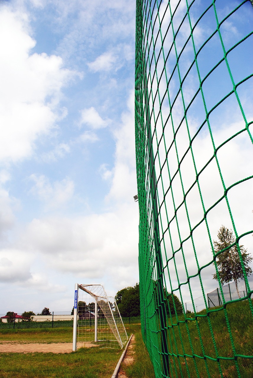 在新增设的 在新增设的