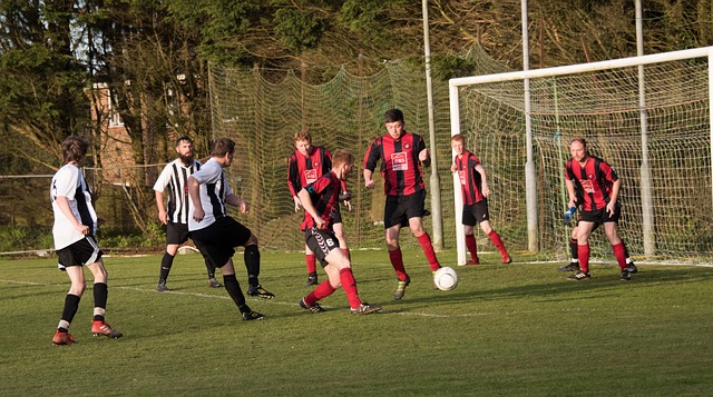 的发展策略 的发展策略