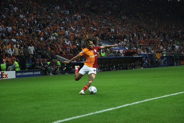 此次交手 此次交手