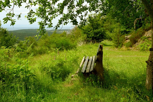 关键项目中 关键项目中